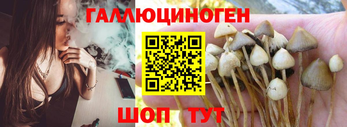 Псилоцибиновые грибы Magic Shrooms  Вход с VPN  где купить наркотик  Псилоцибиновые грибы прущие грибы  Малгобек 