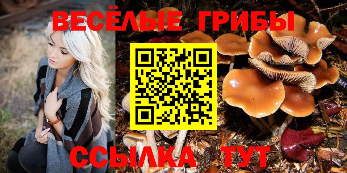 Галлюциногенные грибы MAGIC MUSHROOMS Малгобек