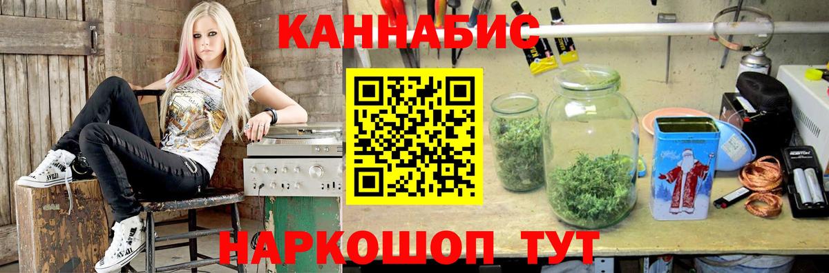 Каннабис индика Малгобек